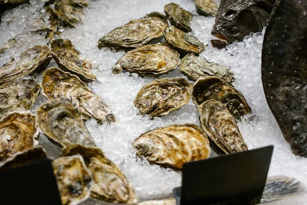 Mariscos Platija Ostras Encuentran Mostrador Hielo Tienda Copiar Espacio Enfoque Imagen De Stock