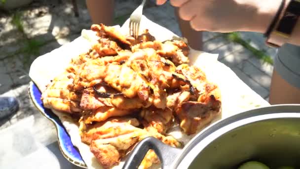 Grilled rabbit meat. Chicken meat on the fire. Summer picnics with barbecue in nature. The girl puts meat on a plate with pita bread. — Stockvideo