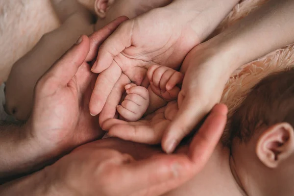A szülők gyengéden fogják a kisgyerekek kezét. Közelkép a babák kezéről és szüleiről. A szülők törődnek a babájukkal. Kisméretű gyermektollak — Stock Fotó