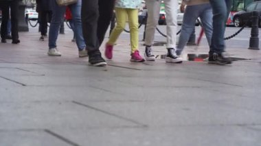 İnsanlar caddede yürüyorlar. Yoldan geçenlerin bacakları yakındır. Bir kalabalık caddede yürüyor. İnsanlar yazın yağmurlu şehirde yürürler.