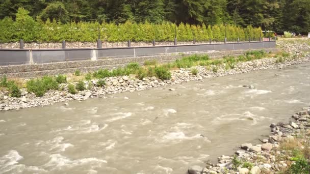 Un río de montaña desciende. Hermosa vista de las montañas y el río. Vídeo Flujos del río 4k — Vídeos de Stock