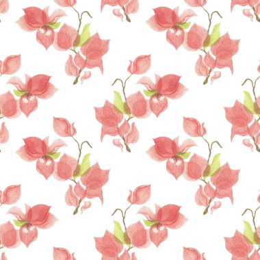 Portakallı begonvillerin dalları ve çiçekleri. Suluboya botanik illüstrasyon. Egzotik çiçek. Beyaz arkaplanda pürüzsüz desen.