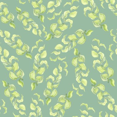 Soluk yeşil begonvil dalları deseni. Suluboya botanik illüstrasyon. Kumaşlar, kartpostallar, ev dekorasyonu için uygun.