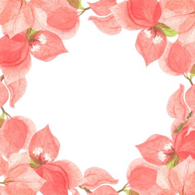 Kırmızı bougainvillea çiçeklerinden yapılmış bir çerçeve. Beyaz arka planda suluboya davetiye kartı. Egzotik çiçekler.
