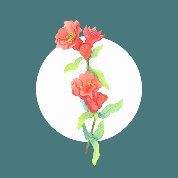 ภาพวาดส าของสาขาท มบาน จดทะเบ ยนโปสการ ใบเช ภาพประกอบบนพ นหล ดอกไม แดง — ภาพถ่ายสต็อก