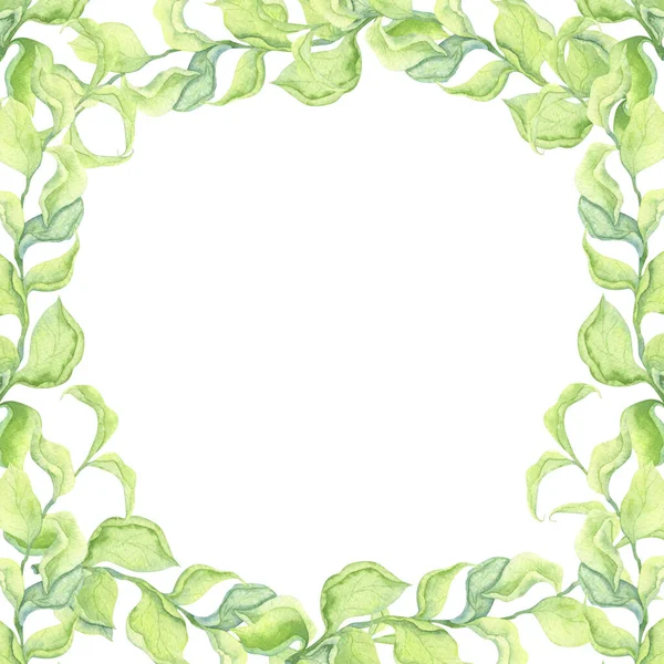 Frame Green Leaves Cards Invitations Watercolor Paper Decoration White Background — Stock Photo, Image