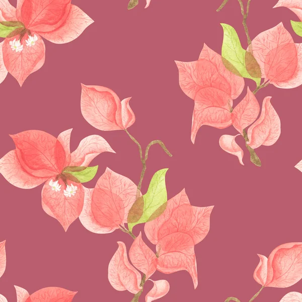 Ljusmönster Med Röda Bougainvillea Blommor Akvarellgrenar Med Pappersblommor Handgjord Illustration — Stockfoto