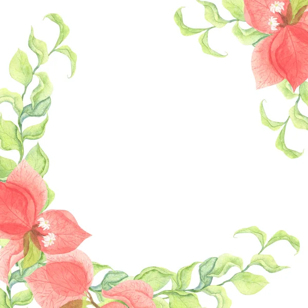 Fyrkantig Ram Med Fina Blommor Röd Bougainvillea Akvarell Ritning Blommor — Stockfoto