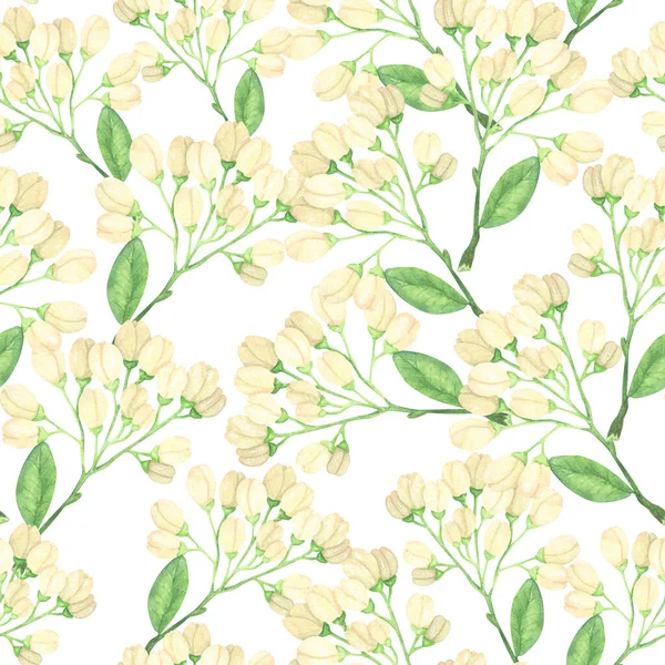 Delicate beige flowers in buds on a white background. Watercolor seamless pattern. Botanical illustration for printing onto fabric, wrapping paper.