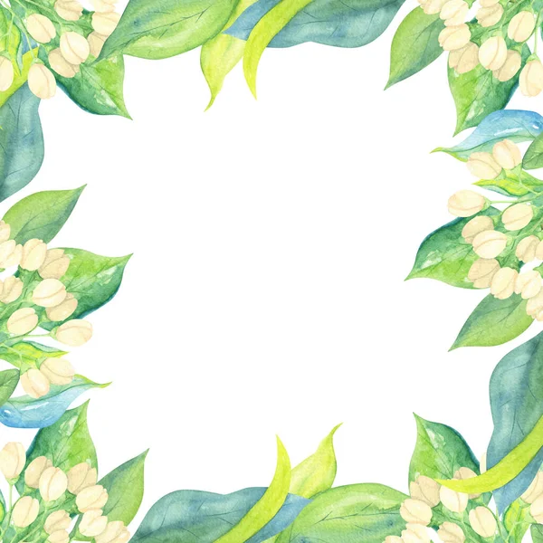 Kwadratowa Rama Akwarelowa Zielonymi Liśćmi Małymi Beżowymi Kwiatami Dekoracyjny Projekt — Zdjęcie stockowe