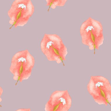 Kırmızı frenleri olan egzotik begonviller. Güzel, pürüzsüz bir desen. Kumaşlar, kapaklar, kartlar, duvar kağıtları için suluboya çizimi.
