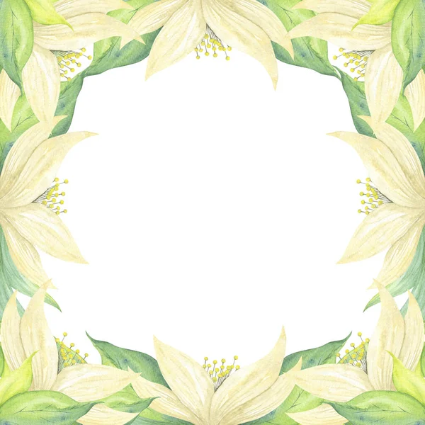 有米黄色花和绿色叶子的正方形框架 水彩画植物图解 印刷明信片 邀请函 婚纱的图纸 — 图库照片