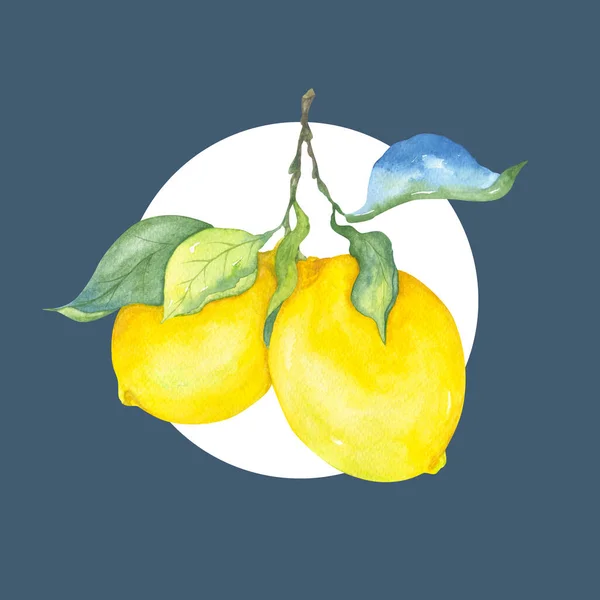 Два Жовтих Лимона Гілці Зеленим Листям Акварельна Ілюстрація Синій Рамці — стокове фото