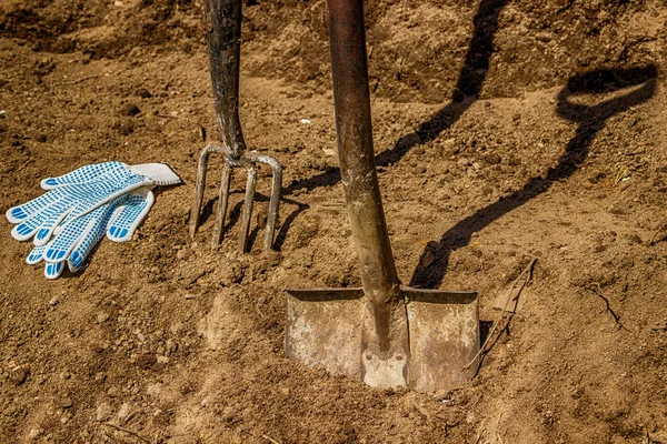 Shovel pitchfork gloves in black soil — Stock Photo, Image