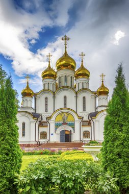  Nicholas manastır Katedrali Rusya Pereslavl halk