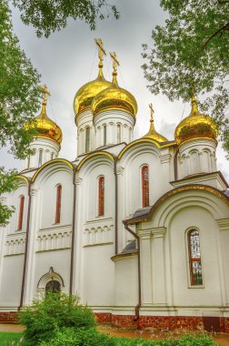  Nicholas manastır Katedrali Rusya Pereslavl halk