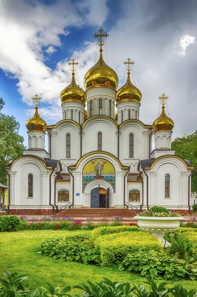 Nicholas convento Cattedrale Russia Pereslavl Zaleski — Foto Stock