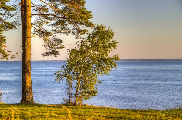 Landschap — Stockfoto