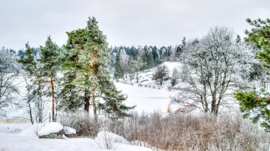 Mon repos Park Vyborg Rusya