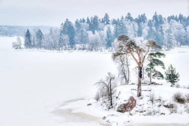 Mon repos Park Vyborg Rusya