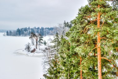 Mon repos Park Vyborg Rusya