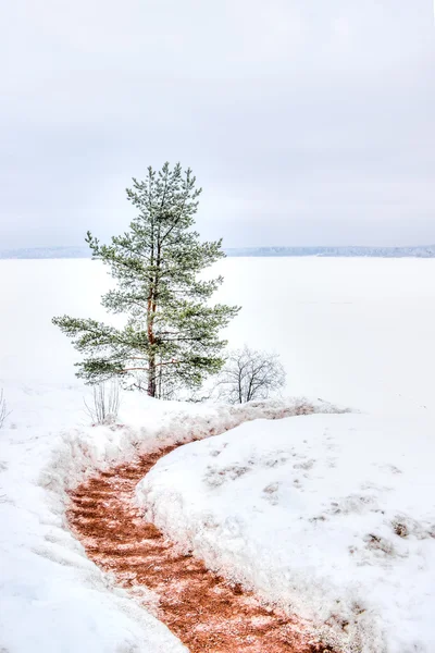 Mon repos Park Vyborg Russia — Stock Photo, Image