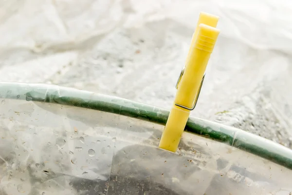 Clothespin is attached to the arc of a greenhouse — Stock Photo, Image