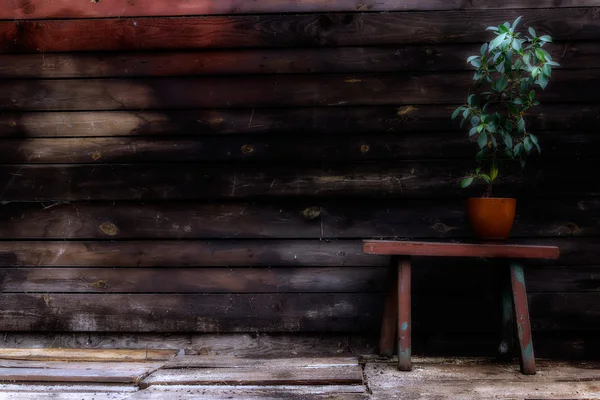 Old wooden bench — Stock Photo, Image