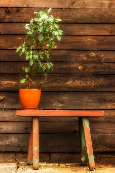 Old wooden bench — Stock Photo, Image