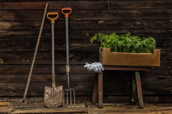 Vieux banc en bois — Photo