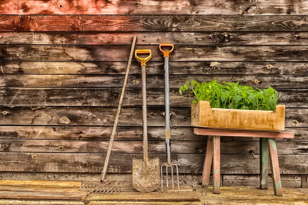 Old wooden bench — Stock Photo, Image