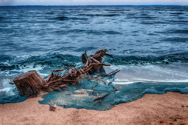 Tronco en la orilla del mar azul, olas de playa de arena — Foto de Stock