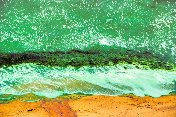 Green surf on sand seaweed waves — Stock Photo, Image