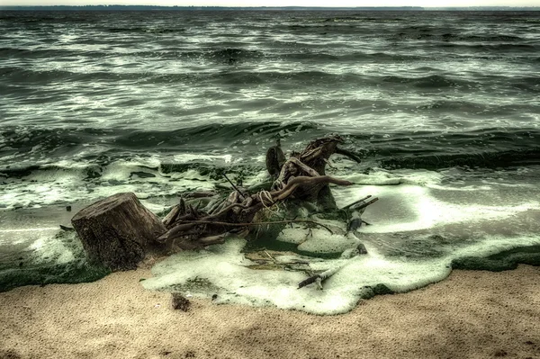 Log na costa do mar azul, ondas de praia arenosas — Fotografia de Stock