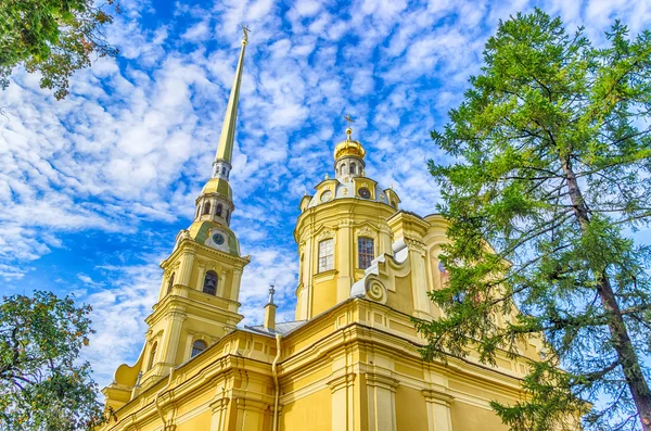 Peter a Paul Cathedral bell tower pohled zdola nahoru jasné sk — Stock fotografie