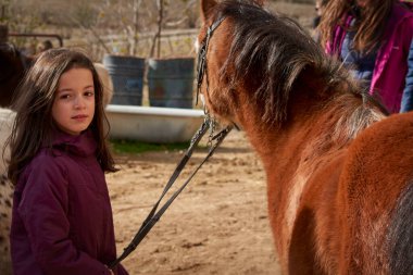 Küçük mutlu kız güzel kahverengi bir at tutuyor.