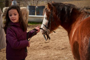 Küçük mutlu kız güzel kahverengi bir at tutuyor.