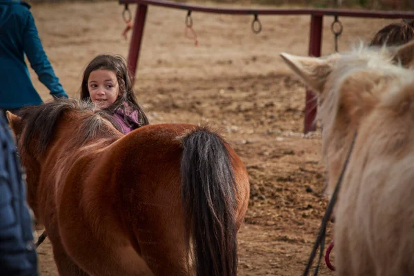 Küçük mutlu kız güzel kahverengi bir at taşıyor.