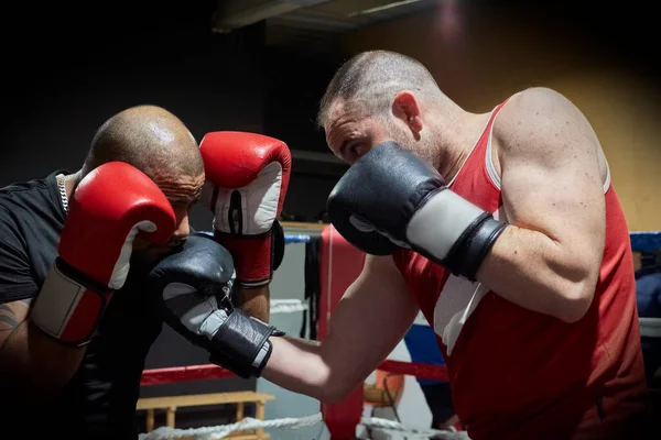 Bestämda Manliga Boxare Som Tränar Hälsoklubb Ringen — Stockfoto