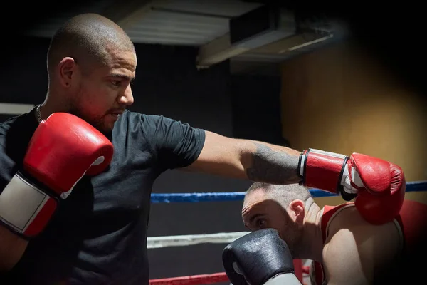 Determinados Boxers Masculinos Praticando Health Club Ringue — Fotografia de Stock