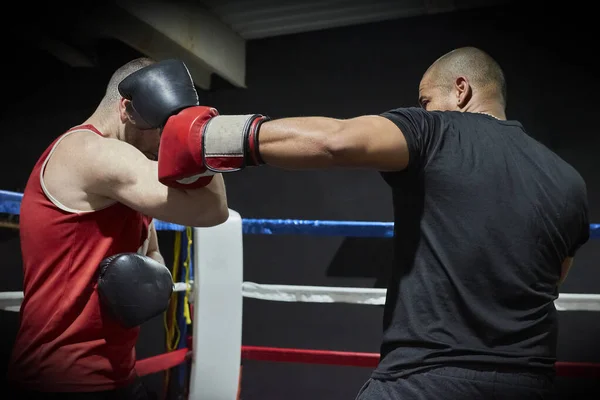 Determinados Boxers Masculinos Treinando Health Club Ringue — Fotografia de Stock