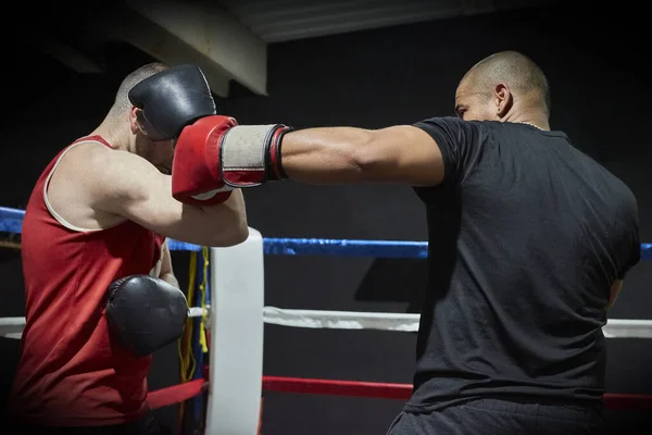 Bepaalde Mannelijke Boksers Training Fitnessclub Ring — Stockfoto