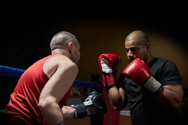 Entschlossene Boxer Trainieren Fitnessstudio Ring — Stockfoto