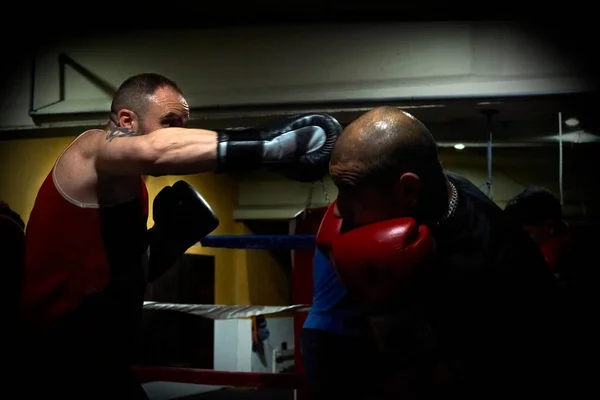Determinados Boxers Masculinos Praticando Health Club Ringue — Fotografia de Stock