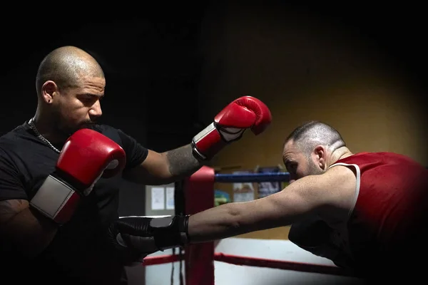 Bepaalde Mannelijke Boksers Oefenen Sportschool Ring — Stockfoto