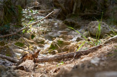 Mundo Nehri 'nin doğumu Los Calares del Mundo doğal parkında ve Ripar İspanya yakınlarındaki La Sima' da gerçekleşti.