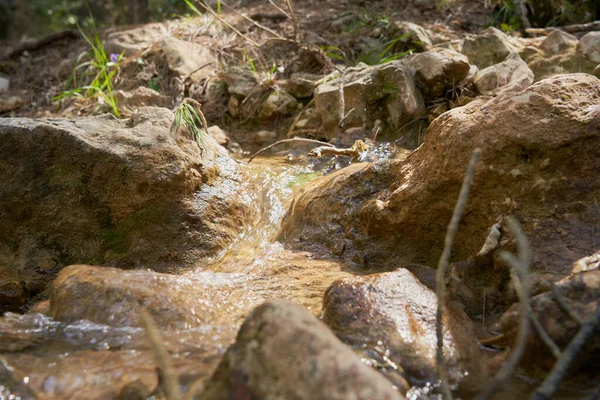 Entstehung Des Flusses Mundo Naturpark Los Calares Del Mundo Und — Stockfoto