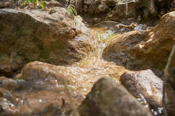 Entstehung Des Flusses Mundo Naturpark Los Calares Del Mundo Und — Stockfoto