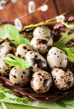 Bıldırcın yumurta