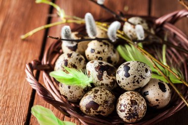 Bıldırcın yumurta